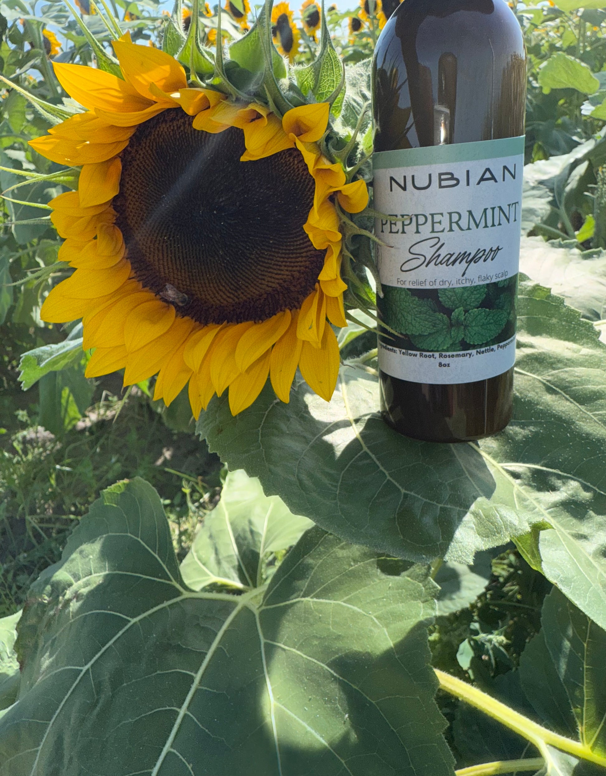 Nubian Peppermint Shampoo