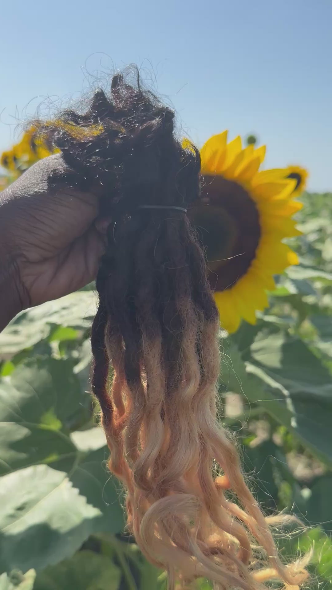 Nubian Blonde Ombre Loose Curly